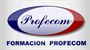  AGENCIA IDIOMAS PROFECOM