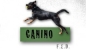  CANINO F.E.D.