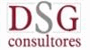 DSG CONSULTORES, S.L.